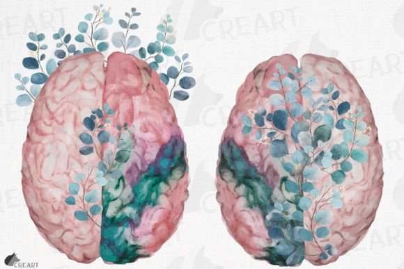 Download Blush Anatomical Brain Eucalyptus Png - Png Collection