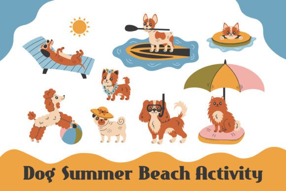 Download Dog Summer Beach Activity PNG Clipart - Png Collection